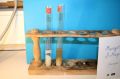 gal/LES_CINQUIEMES/ACTIVITE DIGESTION IN VITRO/Groupe_02/Groupe02_T_00h00min/_thb_Groupe02_temps__H__min_11.jpg